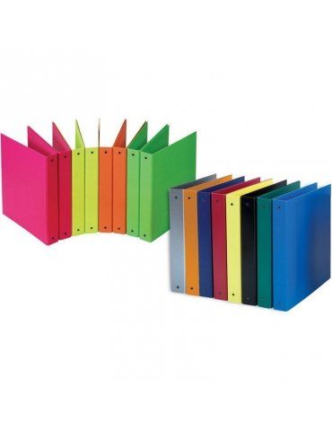 Raccoglitore 2 Anelli Favorit Europa Dorso 30 22x30