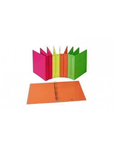 Raccoglitore 4 Anelli Favorit Europa Dorso 30 22x30