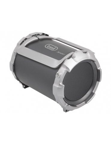 Speaker Amplificato Trevi Xfest XF300 Portatile