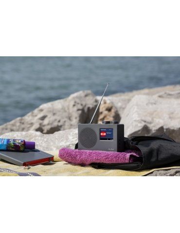 Radio RLine SounDab One