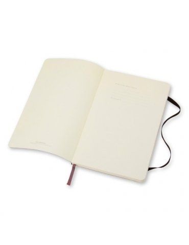 Taccuino Moleskine Classic Large 13x21 Soft Cover Righe