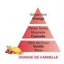Fragranza Orange de Cannelle/Orange Cinnamon LAMPE BERGER  - Mega 1941
