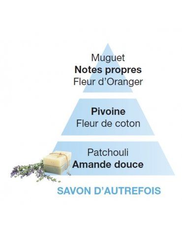 Profumatori Ambiente LAMPE BERGER Savon D'Autrefois