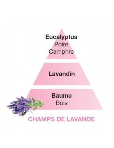 Profumatori Ambiente LAMPE BERGER Champs de Lavande