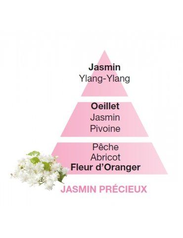 Profumatori Ambiente LAMPE BERGER Jasmine Precièux