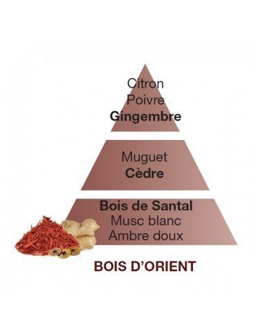 Profumatori Ambiente LAMPE BERGER Bois d'Orient