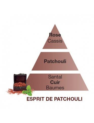 Profumatori Ambiente LAMPE BERGER Esprit de Patchouli