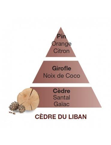 Fragranza Cedre du Liban/Virginia Cedarwood LAMPE BERGER  - Mega 1941
