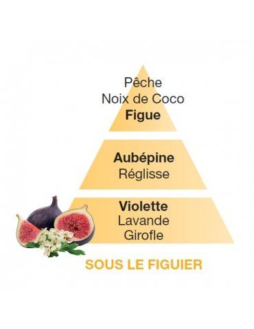 Profumatori Ambiente LAMPE BERGER Sous le Figuier