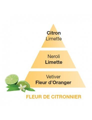 Profumatori Ambiente LAMPE BERGER Fleur de Citronnier