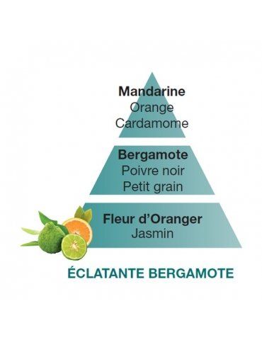 Profumatori Ambiente LAMPE BERGER Ecltante Bergamote