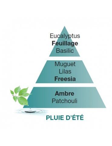 Profumatori Ambiente LAMPE BERGER Pluie d'Etè