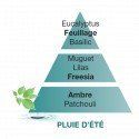 Profumatori Ambiente LAMPE BERGER Pluie d'Etè