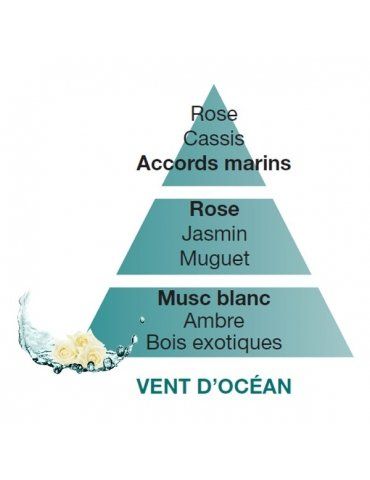 Profumatori Ambiente LAMPE BERGER Vent d'Ocean