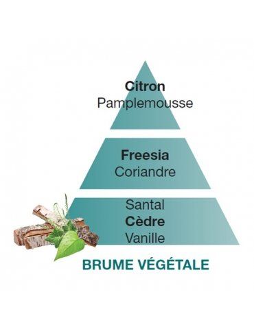 Fragranza Brume Vègetale/Forest Mist LAMPE BERGER  - Mega 1941