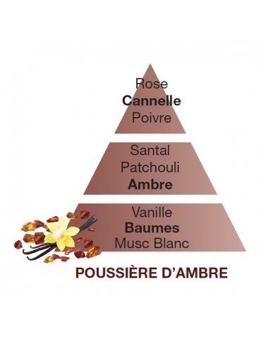 Profumatori Ambiente LAMPE BERGER Poussière d'Ambre