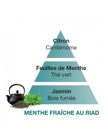 Profumatori Ambiente LAMPE BERGER Menthe Fraiche au Riad
