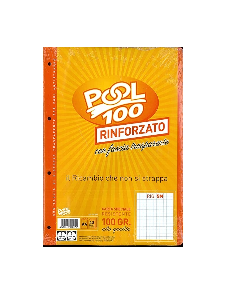 Ricambio Pool Fogli a Buchi Maxi Rinforzati 5 MM 100 Gr. -5 Confezione 40  Fogli