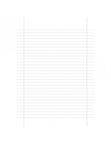 Fogli Protocollo Righe C 4°-5° Elementare/Medie/Superiori Confezione 20 pz.