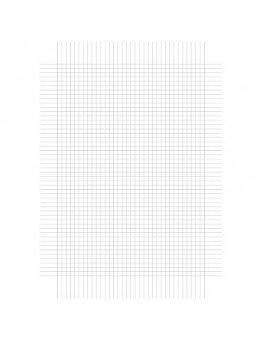 Fogli Protocollo Quadretto Q 0,5 cm con Margine Confezione 20 pz.
