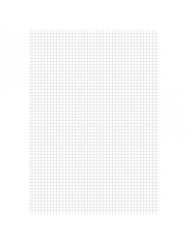 Fogli Protocollo Quadretto 5MM senza Margine Confezione 20 pz.