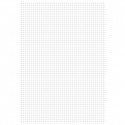 Fogli Protocollo Quadretto 5MM senza Margine Confezione 20 pz.