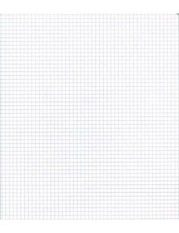 Fogli Protocollo Quadretto 4MM senza Margine Confezione 20 pz.