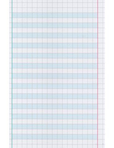 Quaderno per Disgrafia One Color Quadretto 1CM 1-2° Elementare