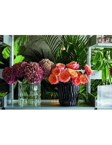 VASO KARTELL JELLY 1227/B4 - Mega 1941