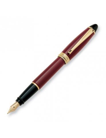 Stilografica Aurora Ipsilon Resin Finiture Dorate