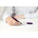 Penna Stilografica Parker Urban Premium Vacumatic Amethyst Pearl CT