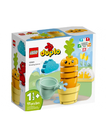 La mia prima carota che...