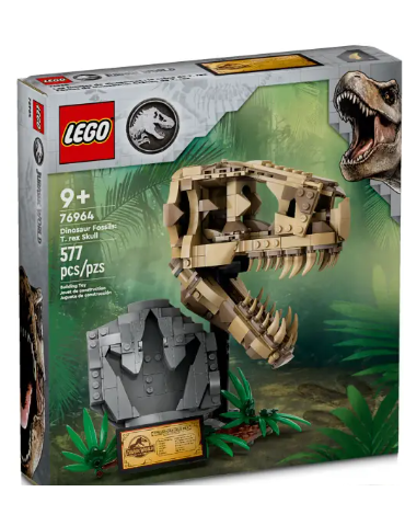 Fossili di dinosauro:...