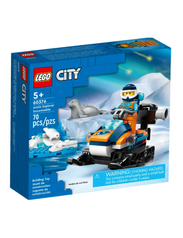 Gatto delle nevi artico...