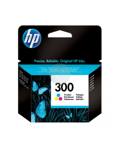 Cartuccia stampante HP 300...