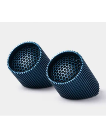 Ray Speaker Magnetico...