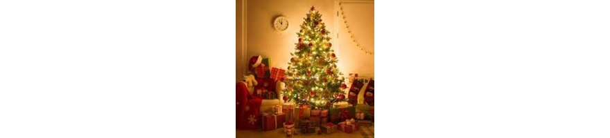 Alberi di natale di tutti i tipi per passare al meglio il periodo più magico dell'anno!